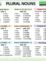 Irregular Plural Nouns